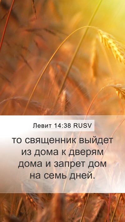 Левит 14:38 RUSV Mobile Phone Wallpaper - то священник выйдет из - Mobile Bible Verse Wallpaper