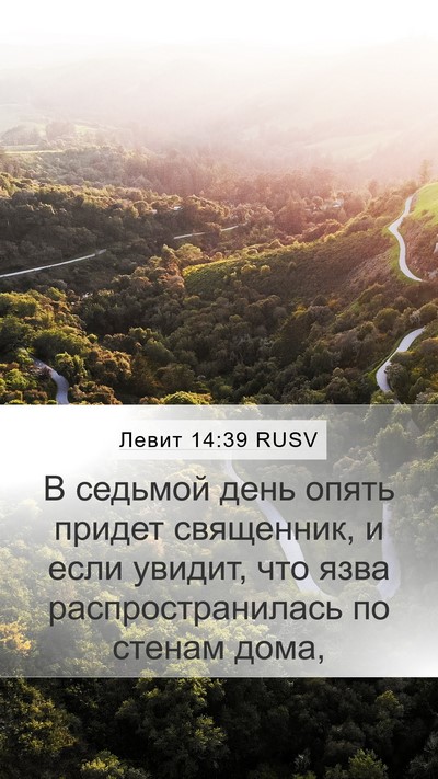 Левит 14:39 RUSV Mobile Phone Wallpaper - В седьмой день опять - Mobile Bible Verse Wallpaper