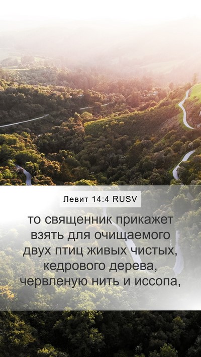 Левит 14:4 RUSV Bible Verse Image