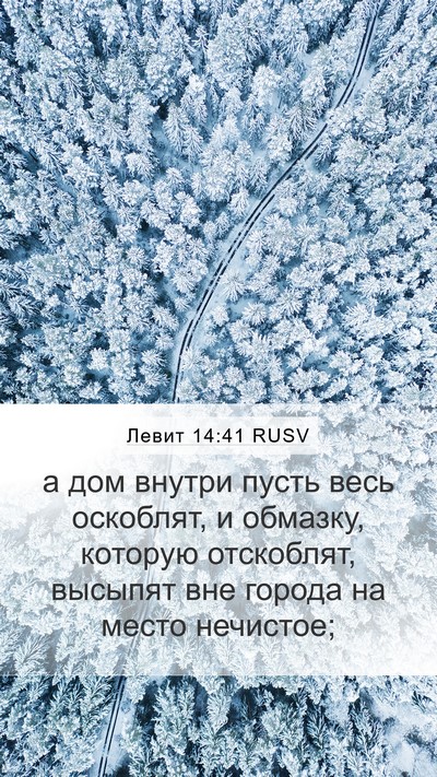 Левит 14:41 RUSV Mobile Phone Wallpaper - а дом внутри пусть весь - Mobile Bible Verse Wallpaper