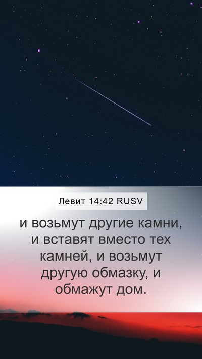 Левит 14:42 RUSV Mobile Phone Wallpaper - и возьмут другие камни, и - Mobile Bible Verse Wallpaper