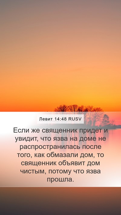 Левит 14:48 RUSV Mobile Phone Wallpaper - Если же священник придет и - Mobile Bible Verse Wallpaper