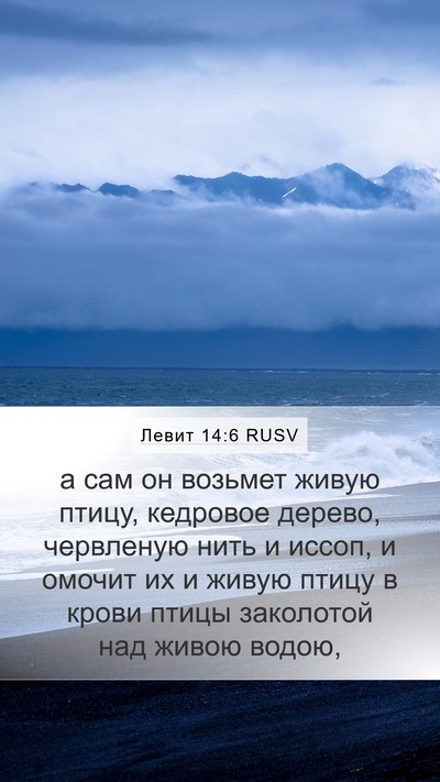 Левит 14:6 RUSV Bible Verse Image