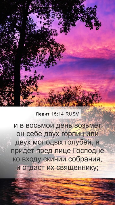 Левит 15:14 RUSV Bible Verse Image