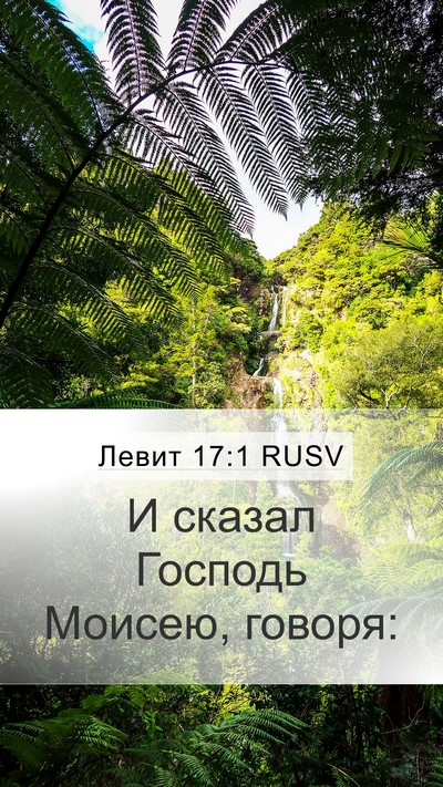 Левит 17:1 RUSV Mobile Phone Wallpaper - И сказал Господь Моисею, - Mobile Bible Verse Wallpaper