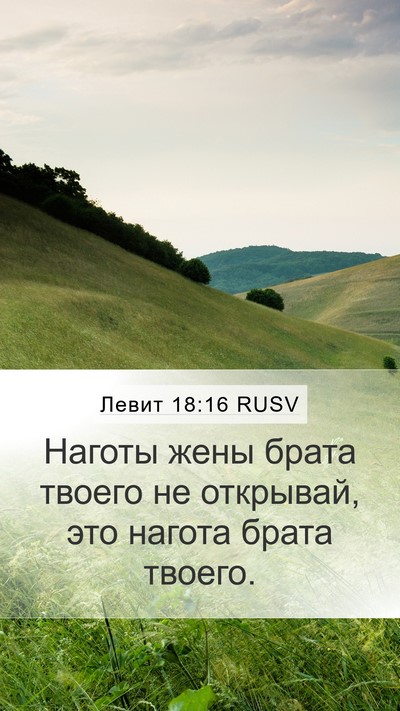 Левит 18:16 RUSV Bible Verse Image
