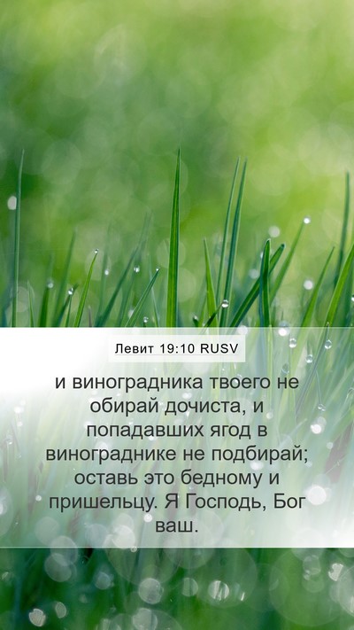 Левит 19:10 RUSV Bible Verse Image
