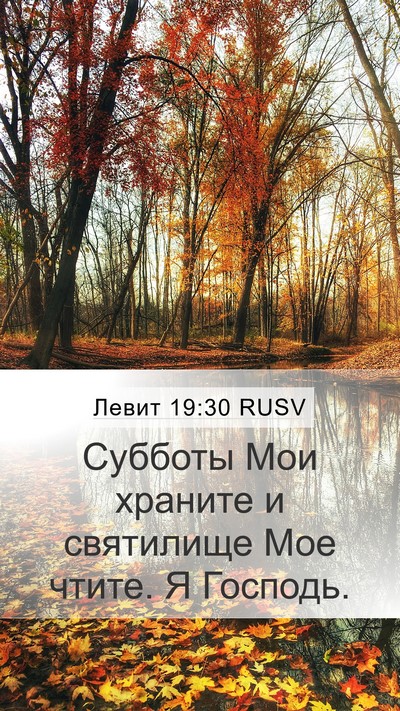 Левит 19:30 RUSV Bible Verse Image