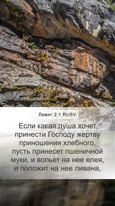 Левит 2:1 RUSV Bible Verse Image