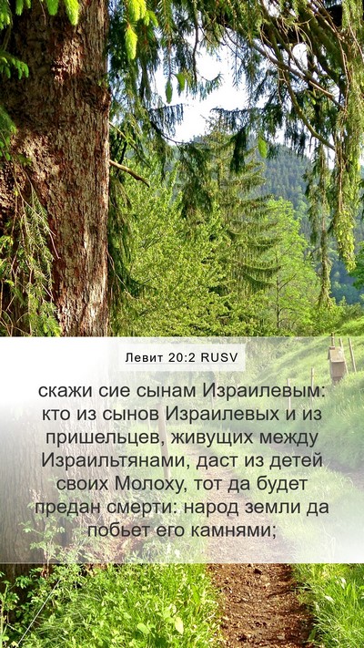 Левит 20:2 RUSV Bible Verse Image