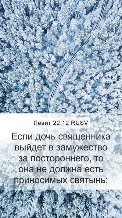 Левит 22:12 RUSV Bible Verse Image
