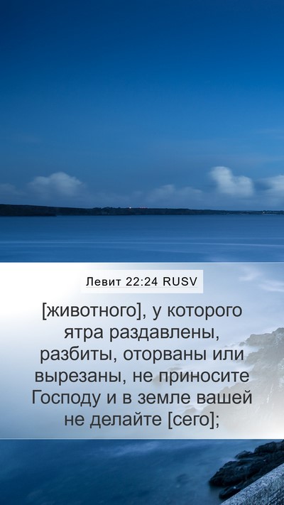 Левит 22:24 RUSV Mobile Phone Wallpaper - [животного], у которого - Mobile Bible Verse Wallpaper