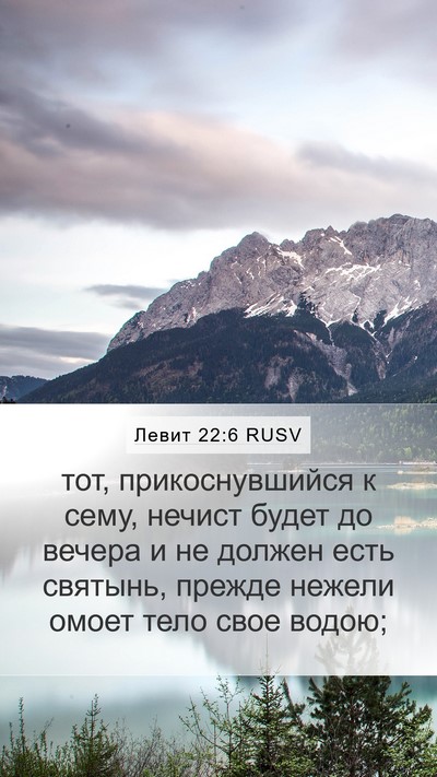 Левит 22:6 RUSV Mobile Phone Wallpaper - тот, прикоснувшийся к сему, - Mobile Bible Verse Wallpaper