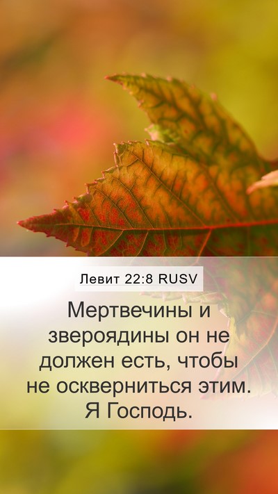 Левит 22:8 RUSV Bible Verse Image