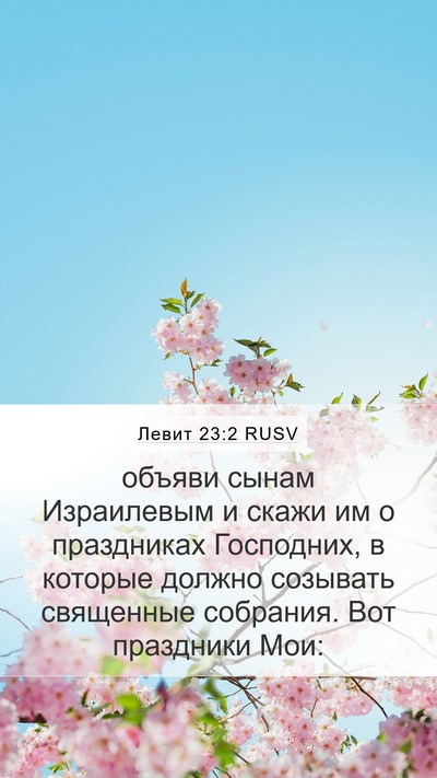 Левит 23:2 RUSV Bible Verse Image