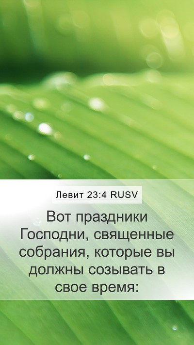 Левит 23:4 RUSV Bible Verse Image