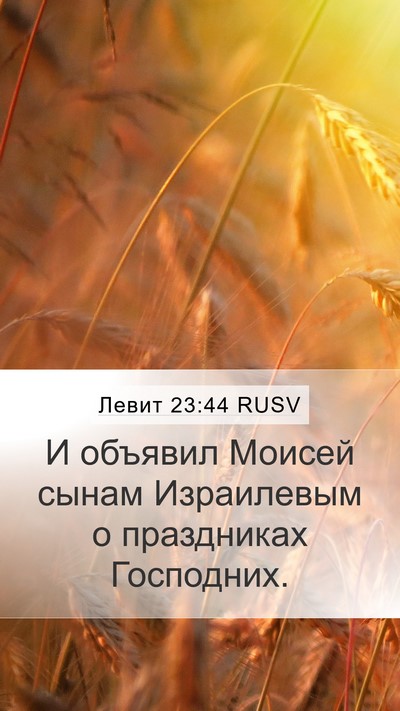 Левит 23:44 RUSV Mobile Phone Wallpaper - И объявил Моисей сынам - Mobile Bible Verse Wallpaper