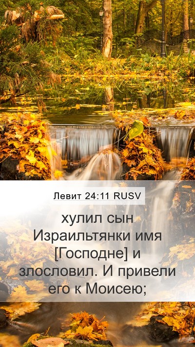 Левит 24:11 RUSV Bible Verse Image