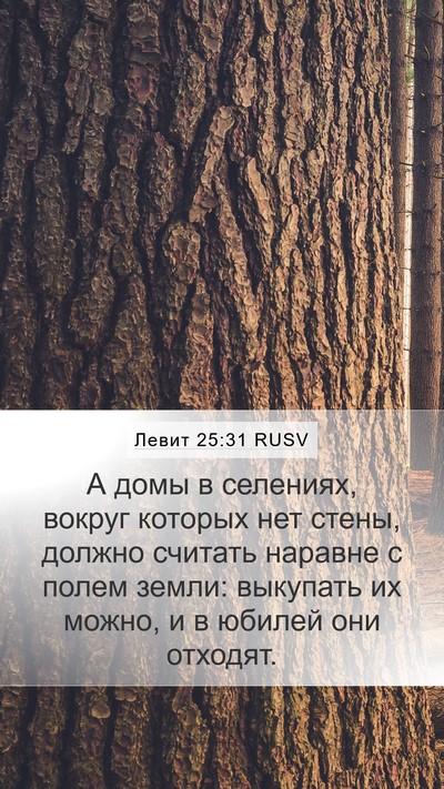 Левит 25:31 RUSV Bible Verse Image