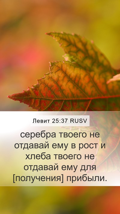 Левит 25:37 RUSV Mobile Phone Wallpaper - серебра твоего не отдавай - Mobile Bible Verse Wallpaper
