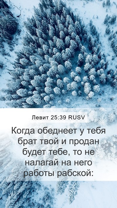 Левит 25:39 RUSV Bible Verse Image