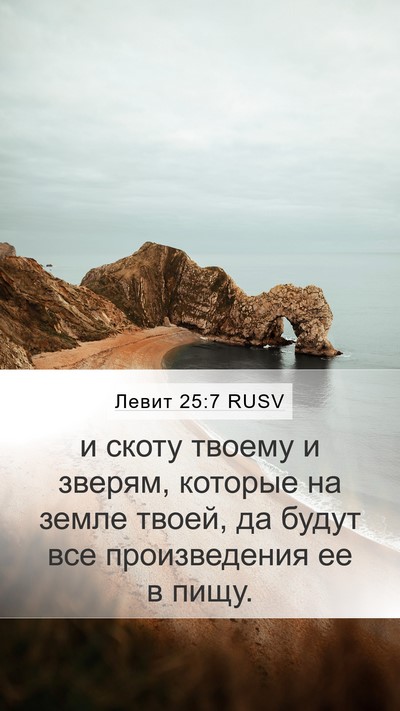 Левит 25:7 RUSV Mobile Phone Wallpaper - и скоту твоему и зверям, - Mobile Bible Verse Wallpaper