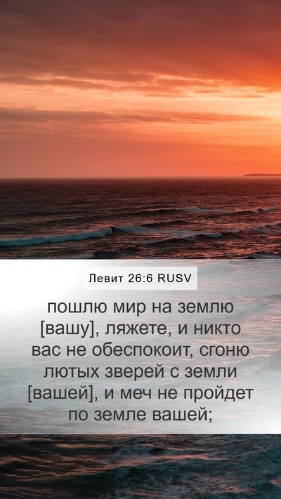 Левит 26:6 RUSV Bible Verse Image
