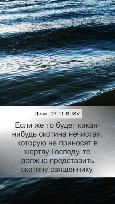 Левит 27:11 RUSV Mobile Phone Wallpaper - Если же то будет - Mobile Bible Verse Wallpaper