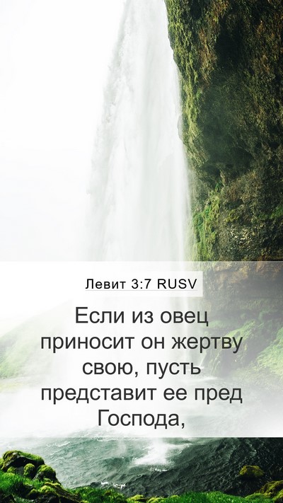 Левит 3:7 RUSV Mobile Phone Wallpaper - Если из овец приносит он - Mobile Bible Verse Wallpaper