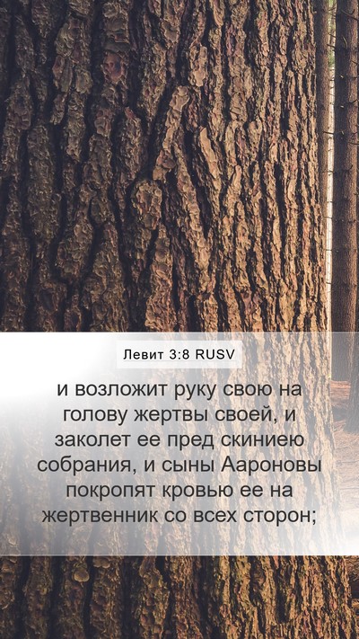 Левит 3:8 RUSV Bible Verse Image