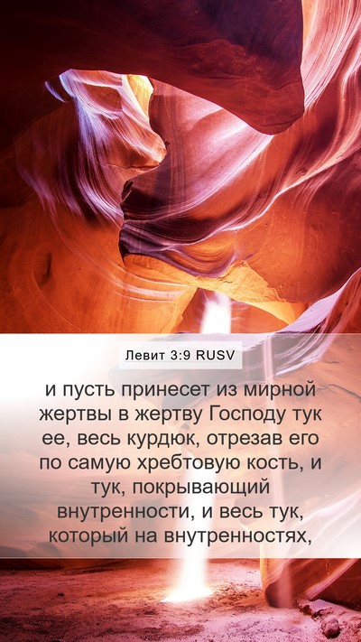 Левит 3:9 RUSV Bible Verse Image