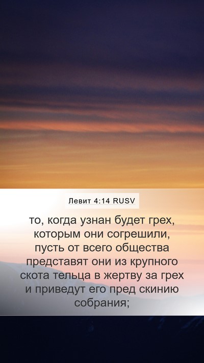 Левит 4:14 RUSV Bible Verse Image
