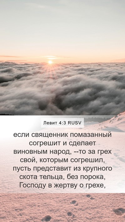 Левит 4:3 RUSV Bible Verse Image