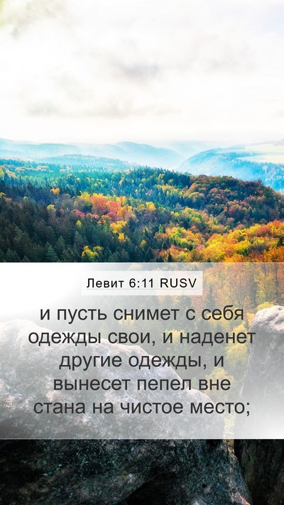 Левит 6:11 RUSV Mobile Phone Wallpaper - и пусть снимет с себя - Mobile Bible Verse Wallpaper