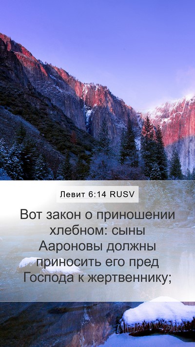Левит 6:14 RUSV Bible Verse Image