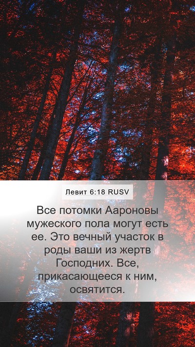 Левит 6:18 RUSV Bible Verse Image