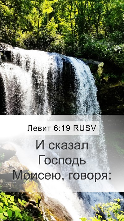 Левит 6:19 RUSV Bible Verse Image