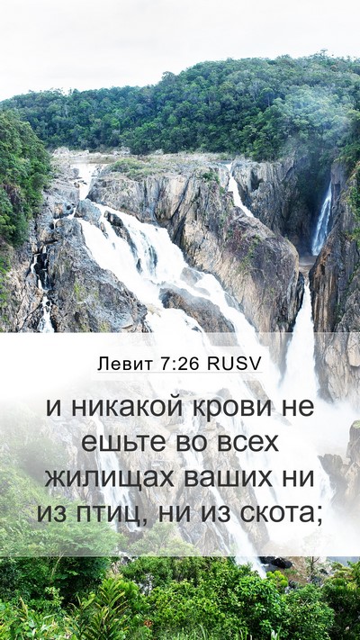 Левит 7:26 RUSV Bible Verse Image