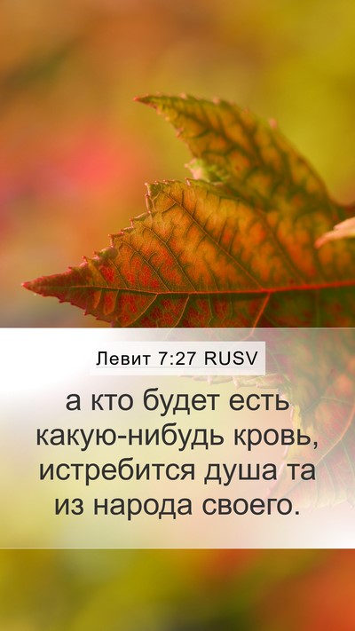 Левит 7:27 RUSV Mobile Phone Wallpaper - а кто будет есть - Mobile Bible Verse Wallpaper