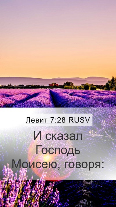 Левит 7:28 RUSV Mobile Phone Wallpaper - И сказал Господь Моисею, - Mobile Bible Verse Wallpaper