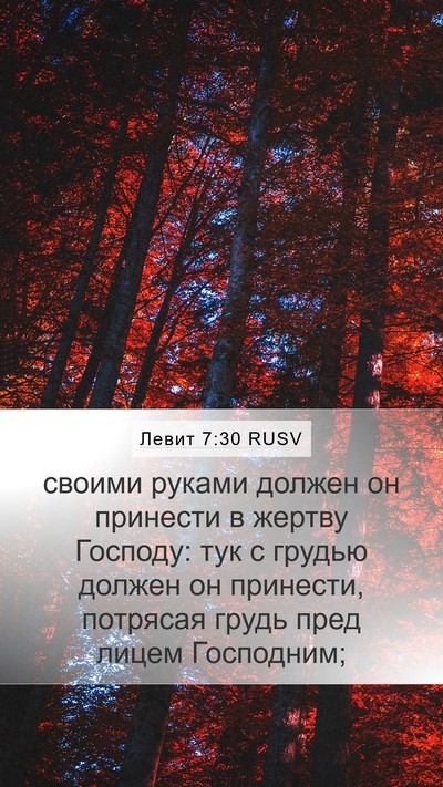 Левит 7:30 RUSV Bible Verse Image