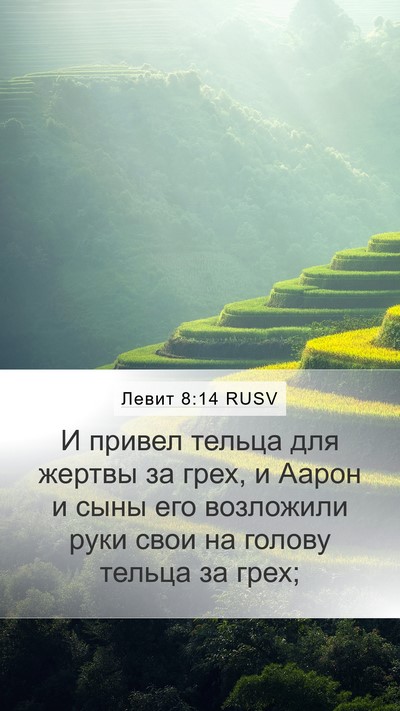 Левит 8:14 RUSV Bible Verse Image