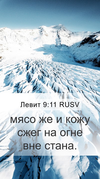 Левит 9:11 RUSV Mobile Phone Wallpaper - мясо же и кожу сжег на огне - Mobile Bible Verse Wallpaper