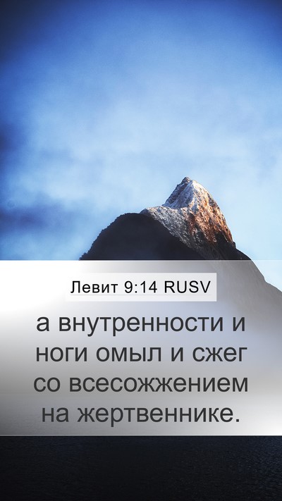 Левит 9:14 RUSV Mobile Phone Wallpaper - а внутренности и ноги омыл - Mobile Bible Verse Wallpaper
