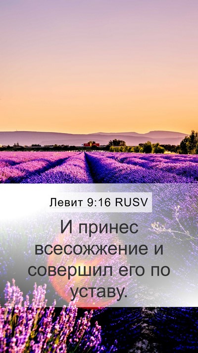 Левит 9:16 RUSV Mobile Phone Wallpaper - И принес всесожжение и - Mobile Bible Verse Wallpaper