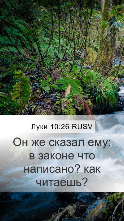 Луки 10:26 RUSV Mobile Phone Wallpaper - Он же сказал ему: в законе - Mobile Bible Verse Wallpaper