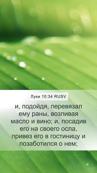 Луки 10:34 RUSV Bible Verse Image