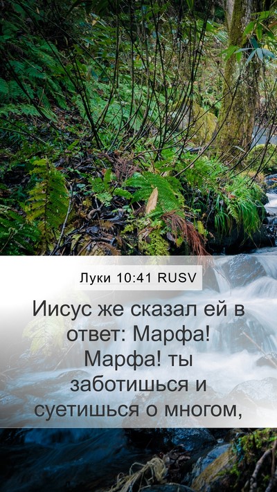 Луки 10:41 RUSV Mobile Phone Wallpaper - Иисус же сказал ей в ответ: - Mobile Bible Verse Wallpaper