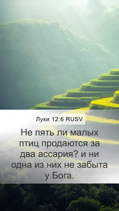 Луки 12:6 RUSV Bible Verse Image