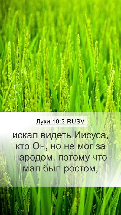 Луки 19:3 RUSV Mobile Phone Wallpaper - искал видеть Иисуса, кто - Mobile Bible Verse Wallpaper